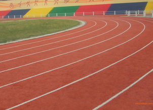 塑胶跑道施工全解析 从生产厂家到市场价格
