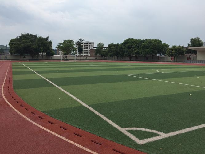 河北弹性塑胶跑道生产指南 从材料选择到工艺要点